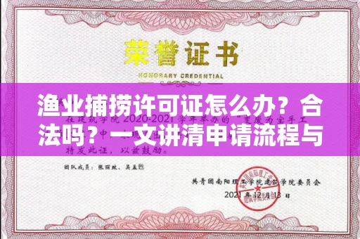 全国渔业捕捞许可证怎么办?合法吗?一文讲清申请流程与合规要点