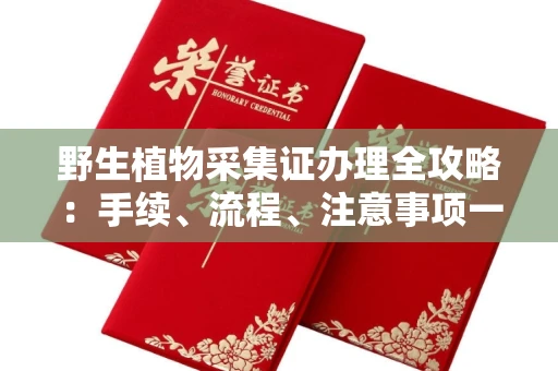 全国野生植物采集证办理全攻略：手续、流程、注意事项一网打尽